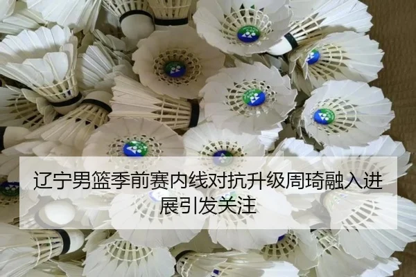 辽宁男篮季前赛内线对抗升级周琦融入进展引发关注